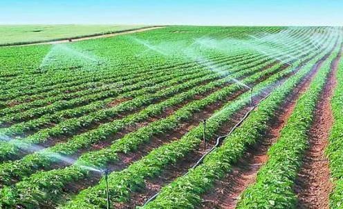 啊操逼你懂的视频农田高 效节水灌溉